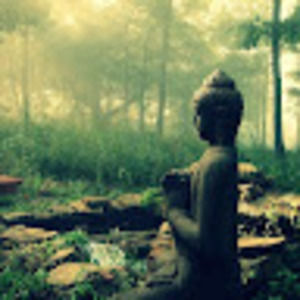 Meet your Posher, Jen